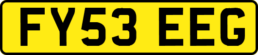 FY53EEG