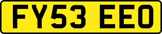 FY53EEO