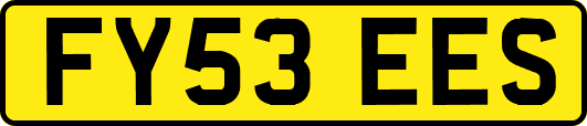 FY53EES