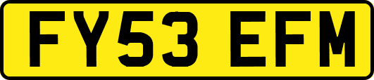 FY53EFM