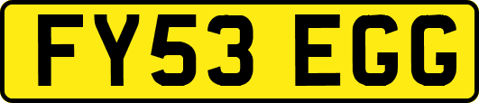 FY53EGG