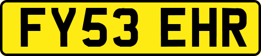 FY53EHR