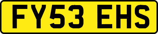 FY53EHS