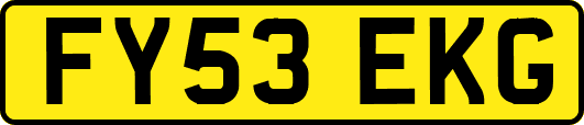 FY53EKG