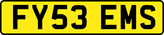 FY53EMS