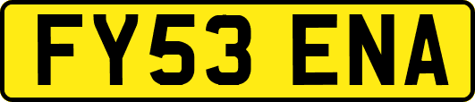 FY53ENA