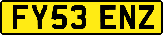 FY53ENZ