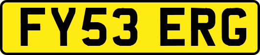 FY53ERG