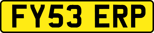 FY53ERP
