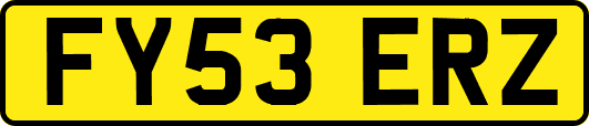FY53ERZ