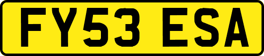 FY53ESA