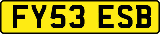 FY53ESB