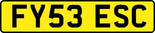 FY53ESC