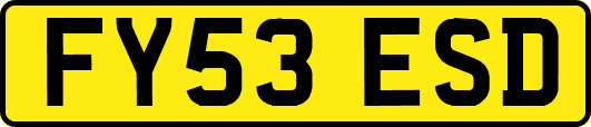 FY53ESD