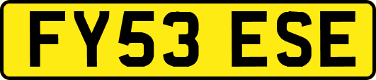 FY53ESE