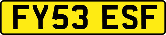 FY53ESF