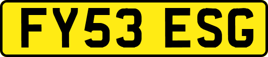 FY53ESG