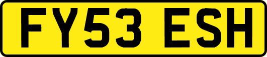 FY53ESH