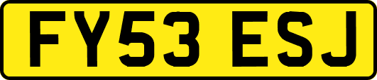 FY53ESJ