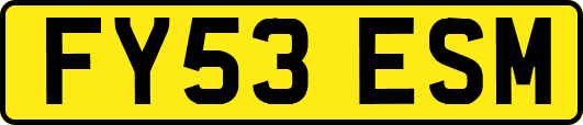 FY53ESM
