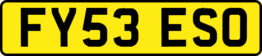 FY53ESO