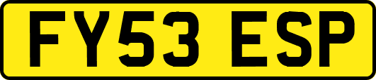FY53ESP