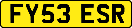 FY53ESR