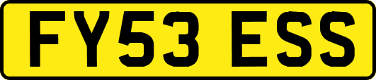 FY53ESS