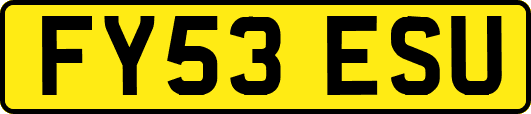 FY53ESU