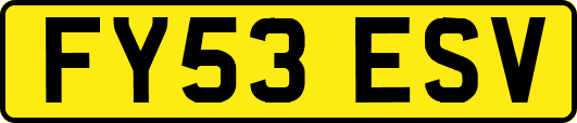 FY53ESV