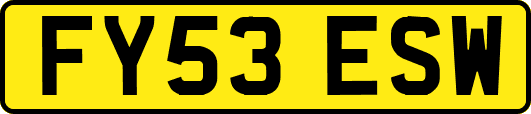 FY53ESW