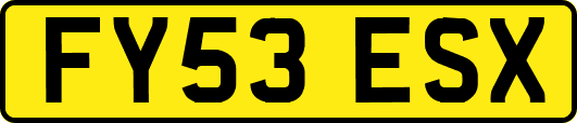 FY53ESX