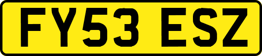 FY53ESZ