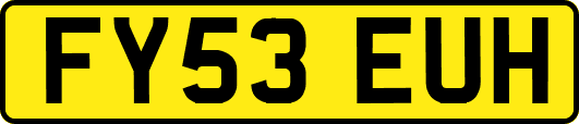 FY53EUH