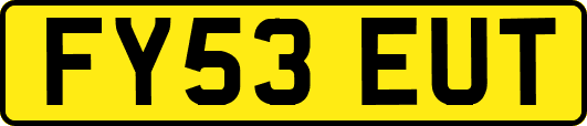 FY53EUT