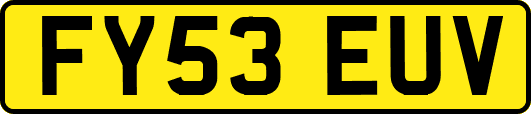 FY53EUV