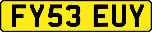 FY53EUY