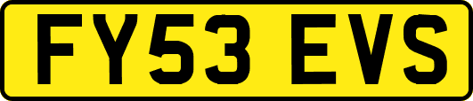 FY53EVS