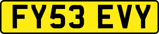FY53EVY