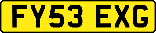 FY53EXG