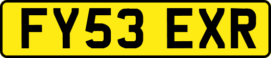 FY53EXR