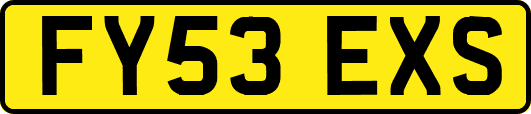 FY53EXS