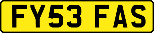 FY53FAS