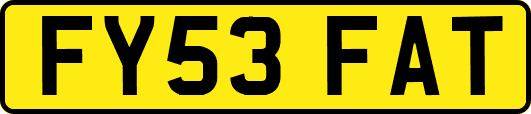 FY53FAT