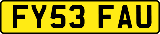 FY53FAU