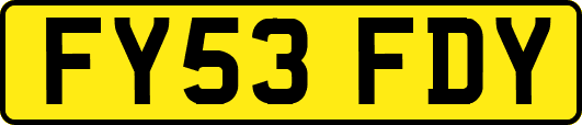FY53FDY