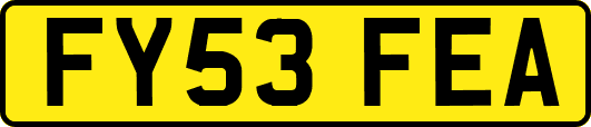FY53FEA