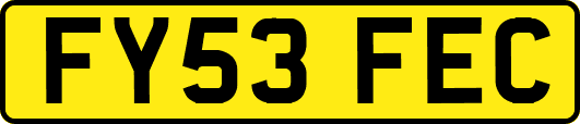 FY53FEC