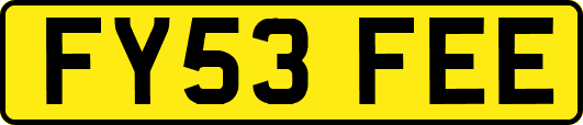FY53FEE
