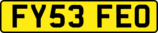FY53FEO